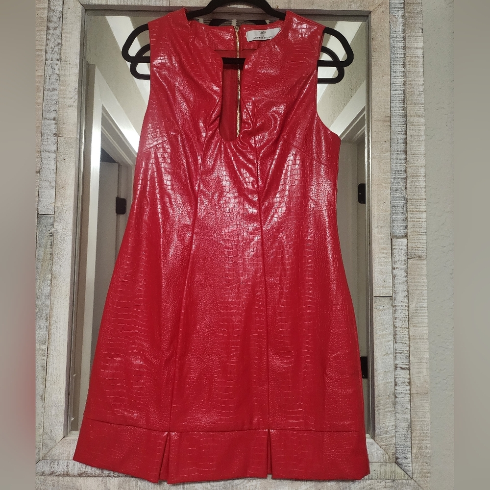 Siempre x Anthropologie Sleeveless Faux Leather Mini Dress - Picture 7 of 9